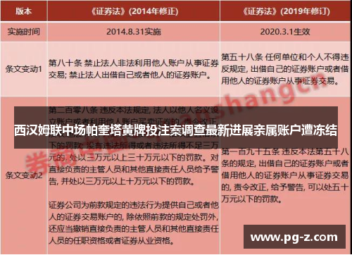 西汉姆联中场帕奎塔黄牌投注案调查最新进展亲属账户遭冻结 西汉姆联中场帕奎塔黄牌投注案调查最新进展亲属账户遭冻结